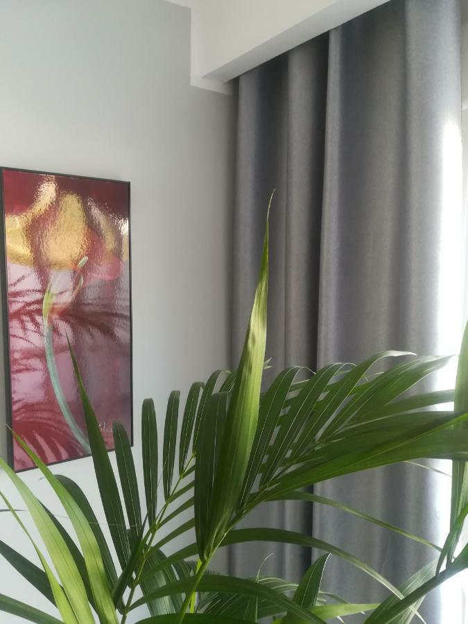 阿德耶Luxury Townhouse公寓 外观 照片